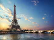 Vestibulum sodales nunc massa, sed finibus diam luctus et.