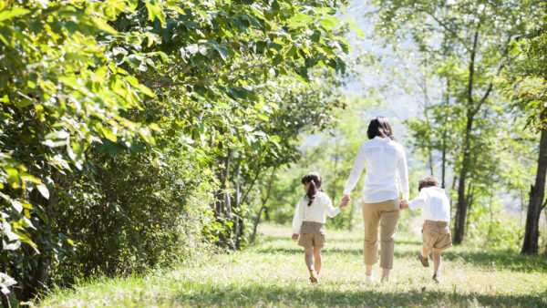 Etiam sollicitudin vitae ex a vulputate.