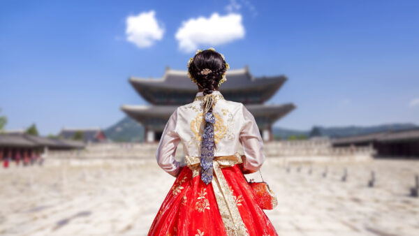 Fusce vehicula dapibus tristique.