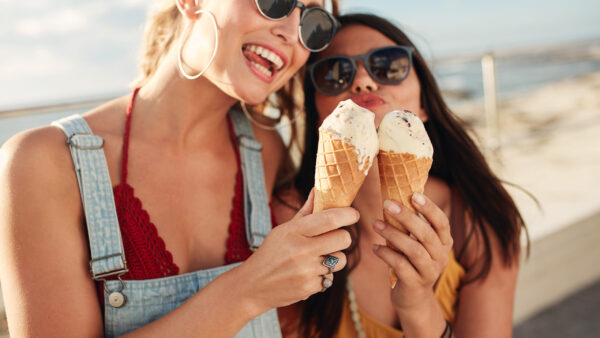 Morbi blandit nec dui vel euismod.